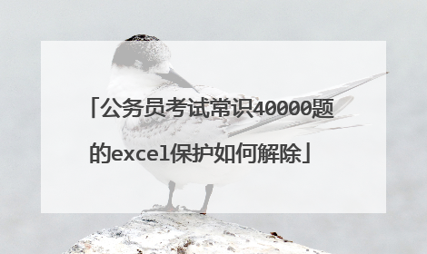 公务员考试常识40000题的excel保护如何解除
