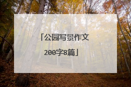 公园写景作文200字8篇