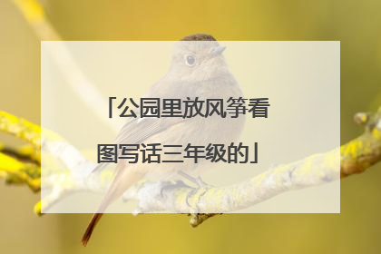 公园里放风筝看图写话三年级的