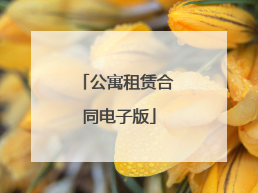 公寓租赁合同电子版