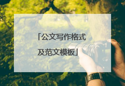 公文写作格式及范文模板