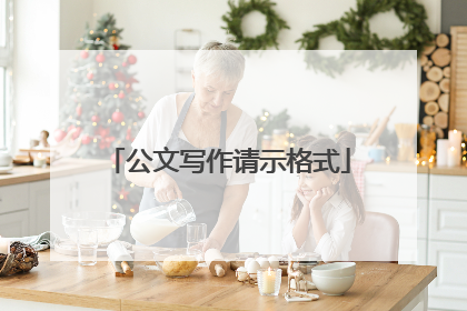 公文写作请示格式