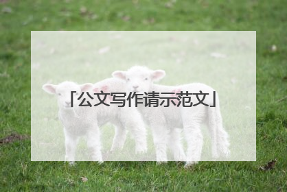 公文写作请示范文