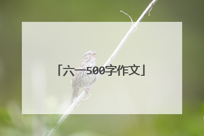 六一500字作文