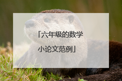 六年级的数学小论文范例