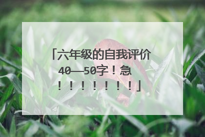 六年级的自我评价40——50字！急！！！！！！！
