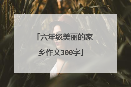 六年级美丽的家乡作文300字