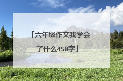 六年级作文我学会了什么450字