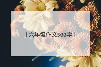 六年级作文500字