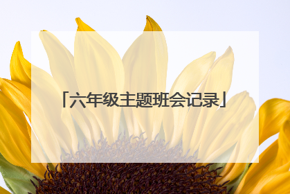 六年级主题班会记录