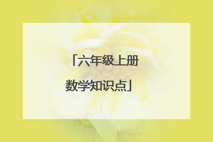 六年级上册数学知识点