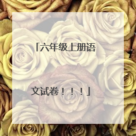 六年级上册语文试卷！！！