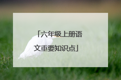 六年级上册语文重要知识点