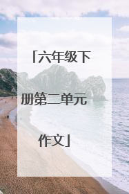 六年级下册第二单元作文