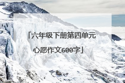 六年级下册第四单元心愿作文600字