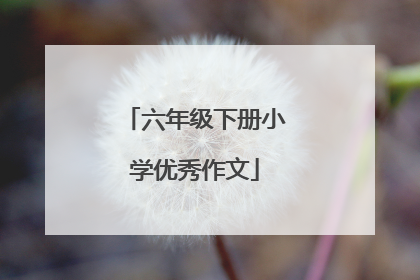六年级下册小学优秀作文
