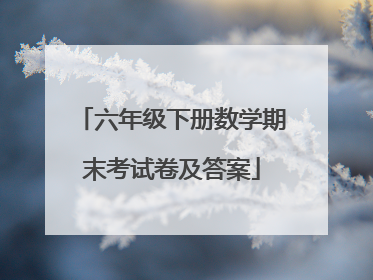 六年级下册数学期末考试卷及答案