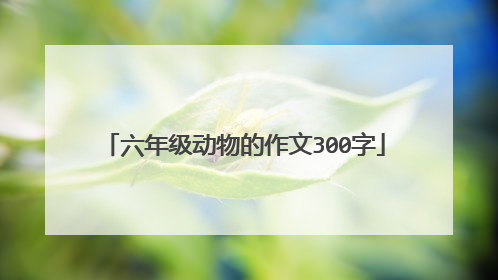 六年级动物的作文300字