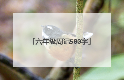 六年级周记500字