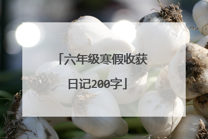 六年级寒假收获日记200字