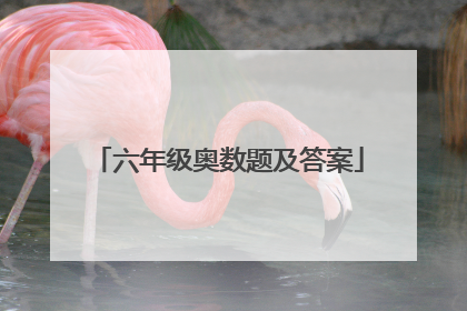 六年级奥数题及答案