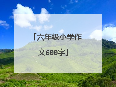 六年级小学作文600字