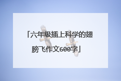 六年级插上科学的翅膀飞作文600字