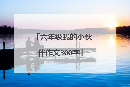六年级我的小伙伴作文300字
