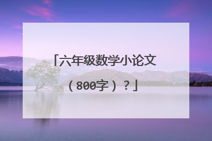 六年级数学小论文(800字)?