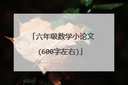 六年级数学小论文(600字左右)