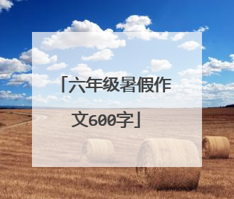 六年级暑假作文600字