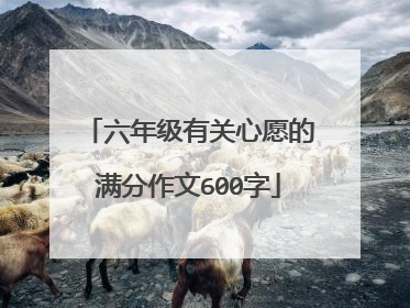 六年级有关心愿的满分作文600字