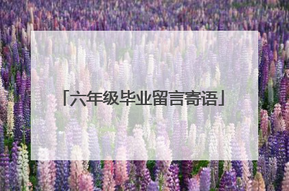 六年级毕业留言寄语