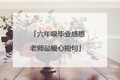 六年级毕业感恩老师最暖心短句