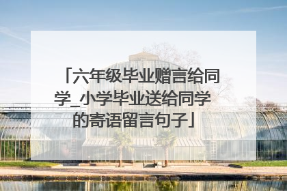 六年级毕业赠言给同学_小学毕业送给同学的寄语留言句子