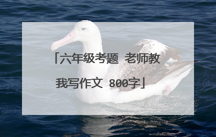 六年级考题 老师教我写作文 800字