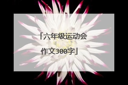 六年级运动会作文300字