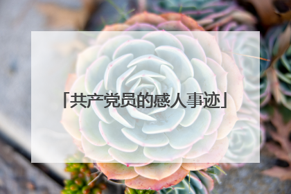 共产党员的感人事迹