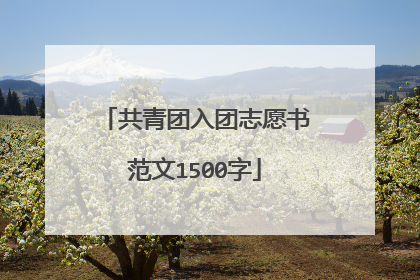 共青团入团志愿书范文1500字