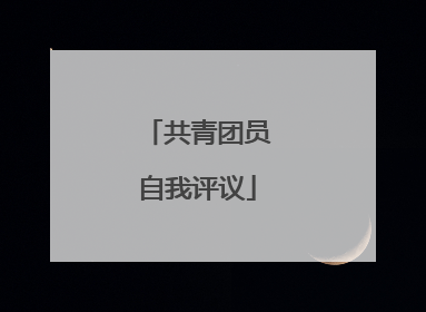 共青团员自我评议