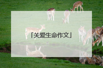 关爱生命作文