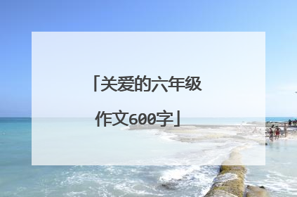 关爱的六年级作文600字