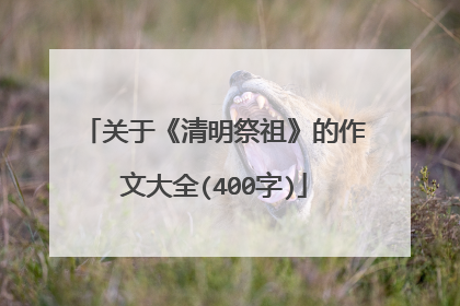 关于《清明祭祖》的作文大全(400字)