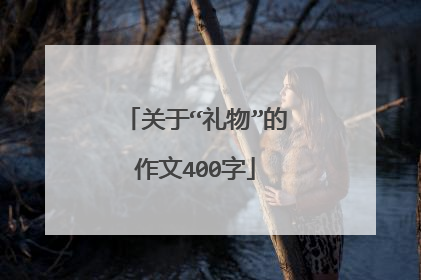 关于“礼物”的作文400字