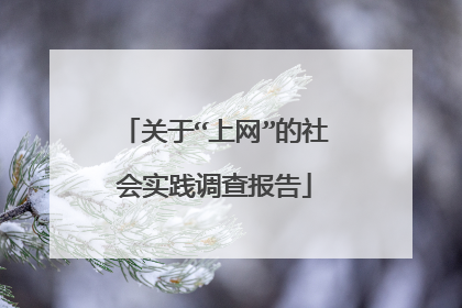关于“上网”的社会实践调查报告