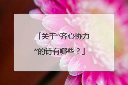 关于“齐心协力”的诗有哪些？