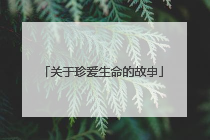 关于珍爱生命的故事