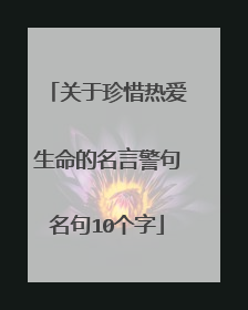 关于珍惜热爱生命的名言警句名句10个字