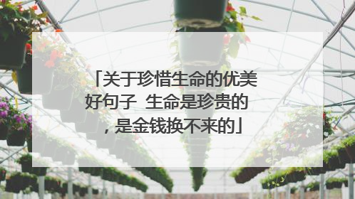 关于珍惜生命的优美好句子 生命是珍贵的，是金钱换不来的