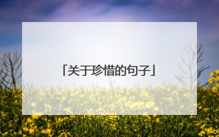 关于珍惜的句子